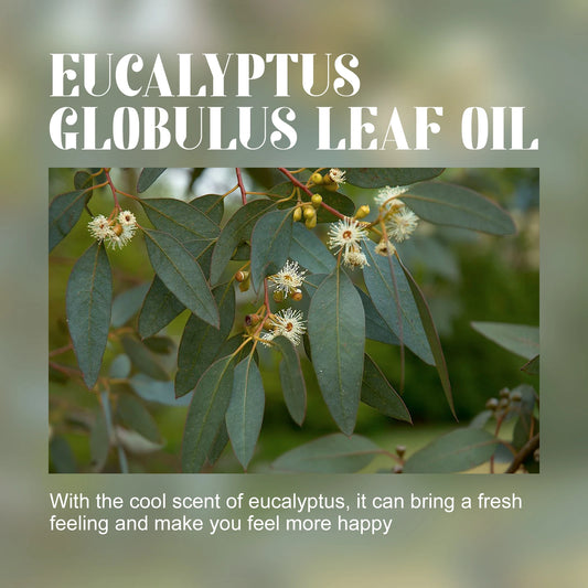 Aceite Esencial De Eucalipto