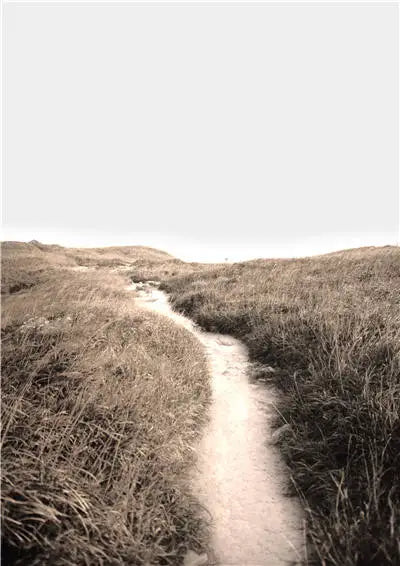 Pintura en lienzo Nórdico Moderno