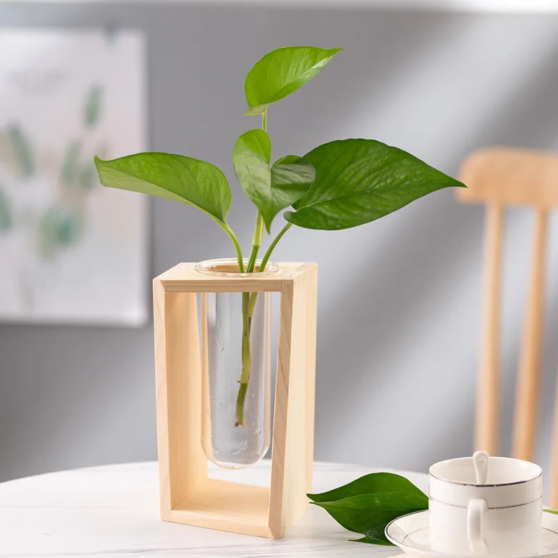 Wooden vase with a container of green ivy grown with water