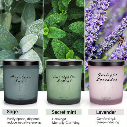 Paquete de 3 velas perfumadas de cera de soja de primera calidad