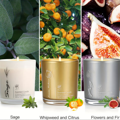 Pack of 3 scented candles