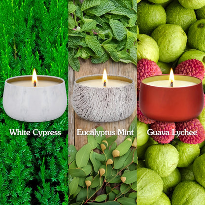 Velas perfumadas para el hogar 6 piezas