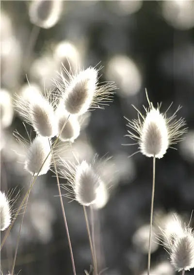 Pintura en lienzo Nórdico Moderno