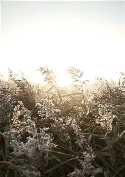 Pintura en lienzo Nórdico Moderno