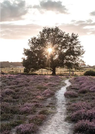 Pintura en lienzo Nórdico Moderno