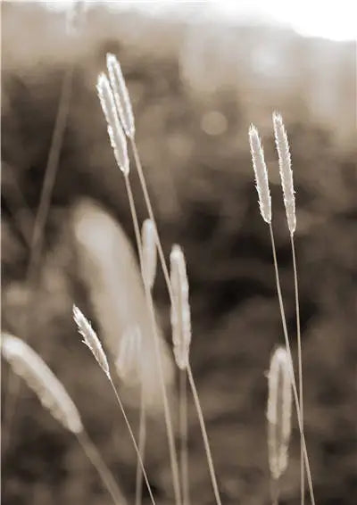 Pintura en lienzo Nórdico Moderno