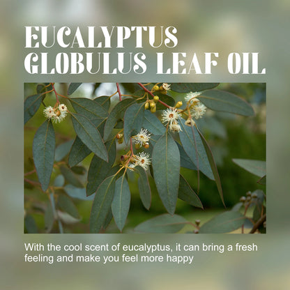 Aceite Esencial De Eucalipto