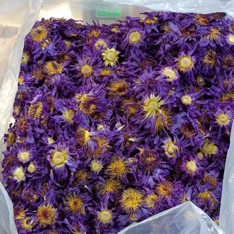 Flores secas aromáticas de flor de loto natural