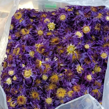 Flores secas aromáticas de flor de loto natural