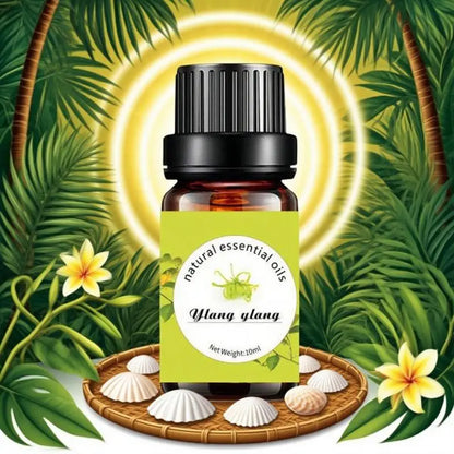 Aceites esenciales de Pure Aroma 10 ml (eucalipto, lavanda, incienso, salva, sándalo) para humidificador