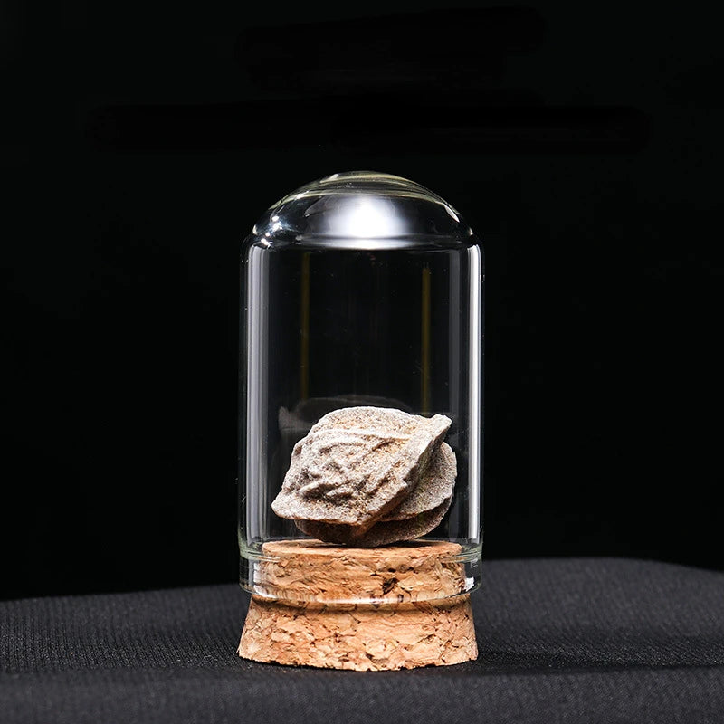 Muestras de minerales naturales