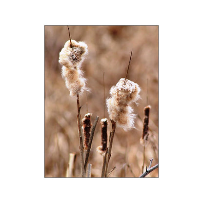 Cuadro Lienzo Paisaje moderno Otoño