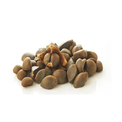 Aceite de semillas de camelia de masaje premium Hidrata, nutre, revitaliza la piel 500 ml