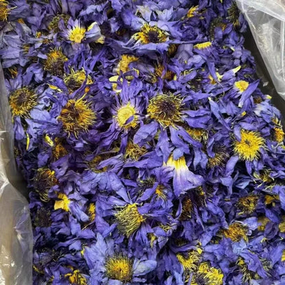 Flores secas aromáticas de flor de loto natural