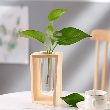 Wooden vase with a container of green ivy grown with water