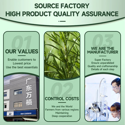 Aceite de flores secas de naturaleza versátil 60 ml Aceite esencial de romero Cuidado de la piel Relajación Hogar Añadir al difusor Spray