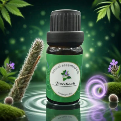 Aceites esenciales de Pure Aroma 10 ml (eucalipto, lavanda, incienso, salva, sándalo) para humidificador