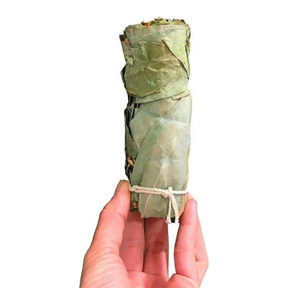 Barras de incienso de eucalipto