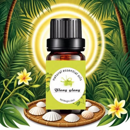 Aceites esenciales de Pure Aroma 10 ml (eucalipto, lavanda, incienso, salva, sándalo) para humidificador