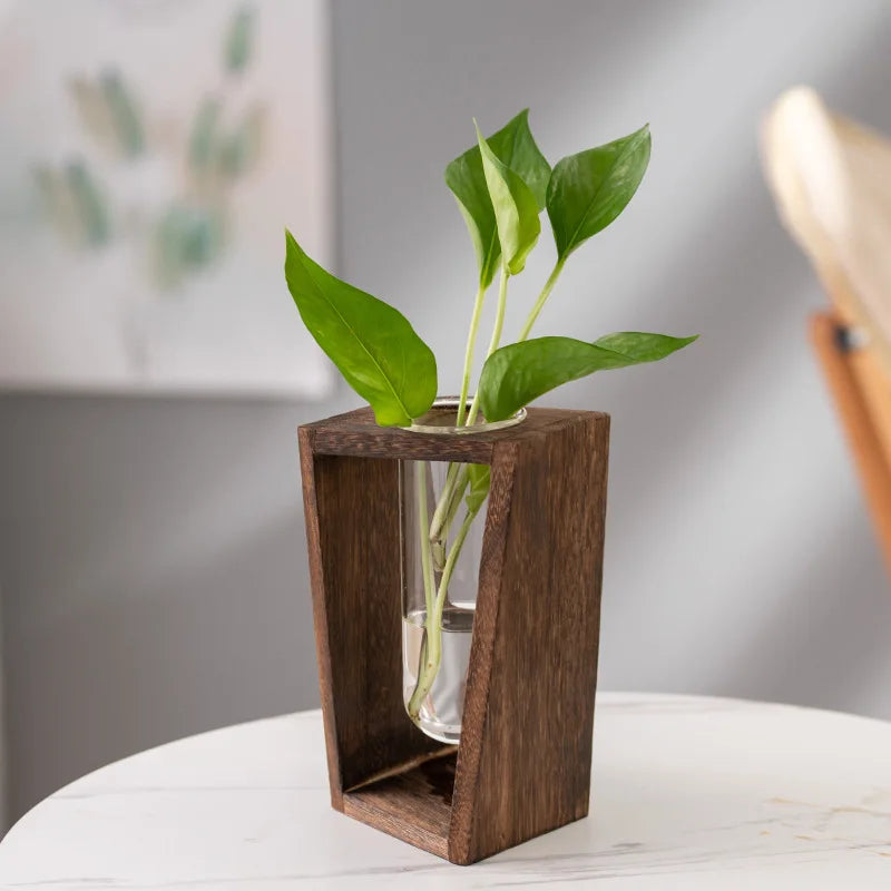 Wooden vase with a container of green ivy grown with water