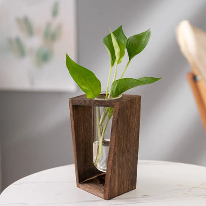 Wooden vase with a container of green ivy grown with water