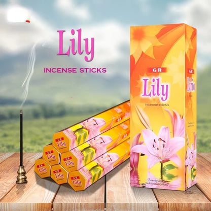 Incienso indio Aromaterapia Duradera