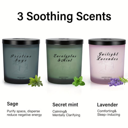 Paquete de 3 velas perfumadas de cera de soja de primera calidad