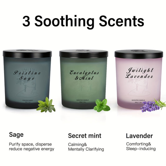 Paquete de 3 velas perfumadas de cera de soja de primera calidad